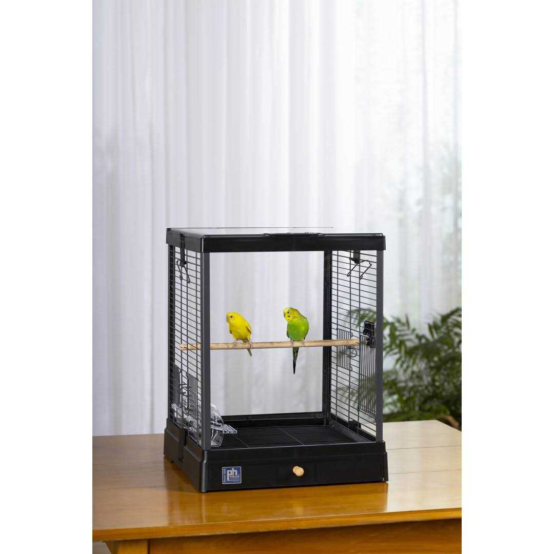 Bird Cage G924
