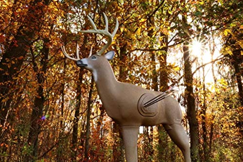 3D Deer Archery Target O30501