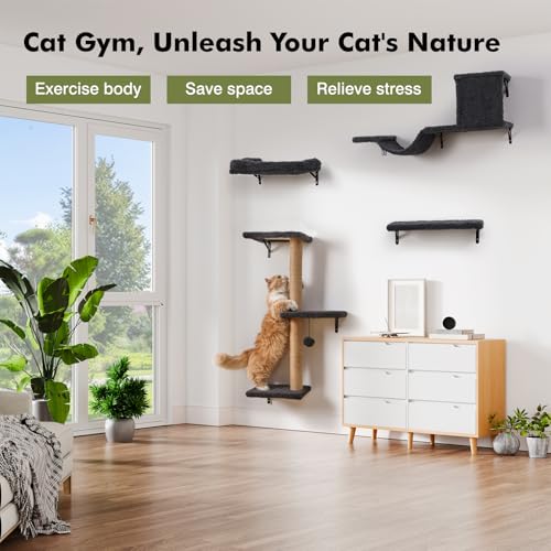 Gray Cat Wall Shelves Q290999