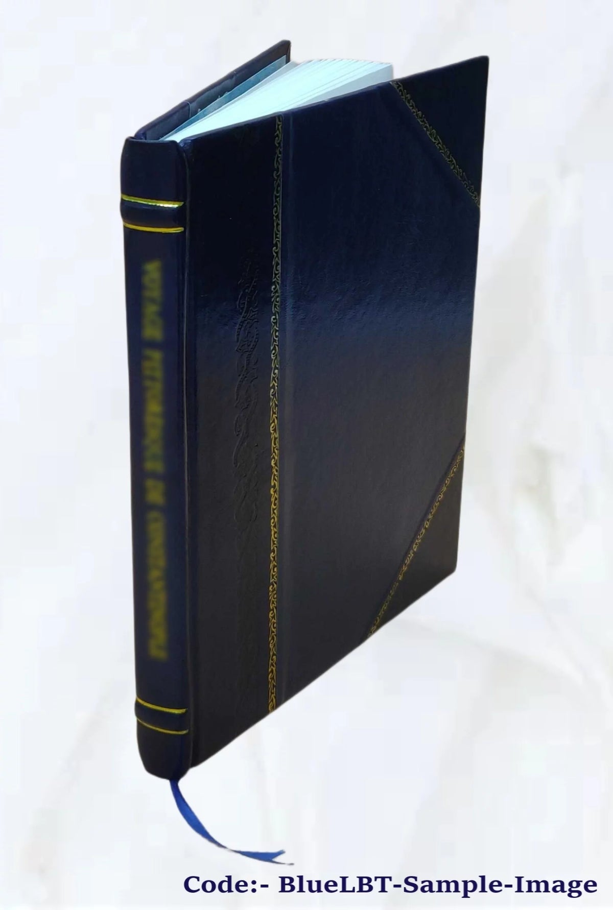 Leather Bound Volume 6 1903 V42838