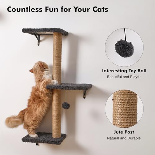 Gray Cat Wall Shelves Q290999