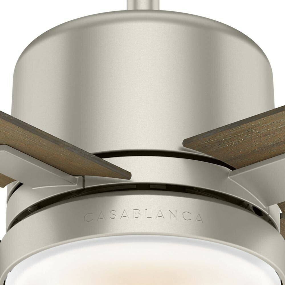 Ceiling Fan P101467