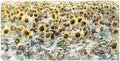 Canvas Art 40x21 Z677920