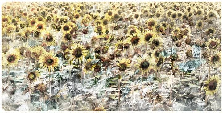 Canvas Art 40x21 Z677920