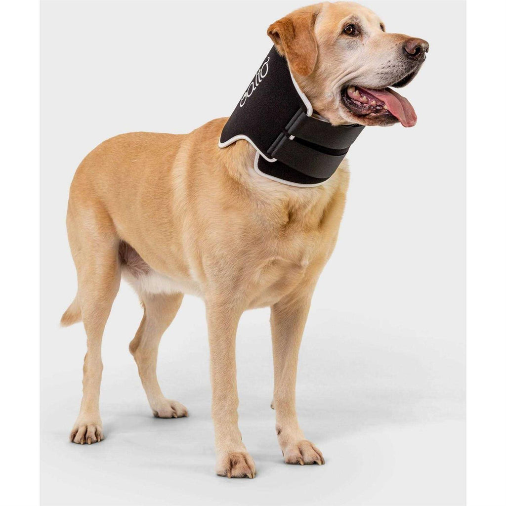 Dog Cone Alternative E-Collar O15780