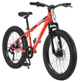 24 Inch Fat Tire Bike 7 Speeds Dual Disc Brake High-Carbon Steel Frame W86094