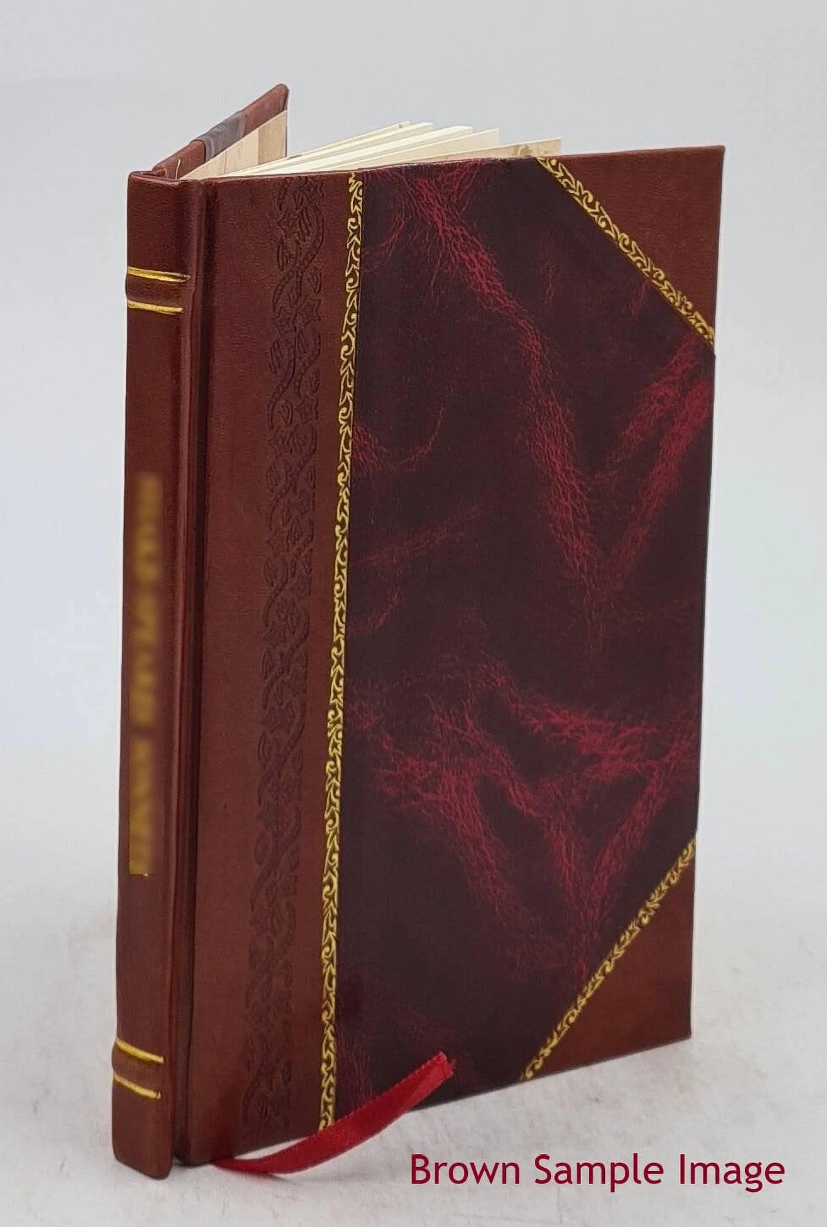 Leather Bound Volume 6 1903 V42838