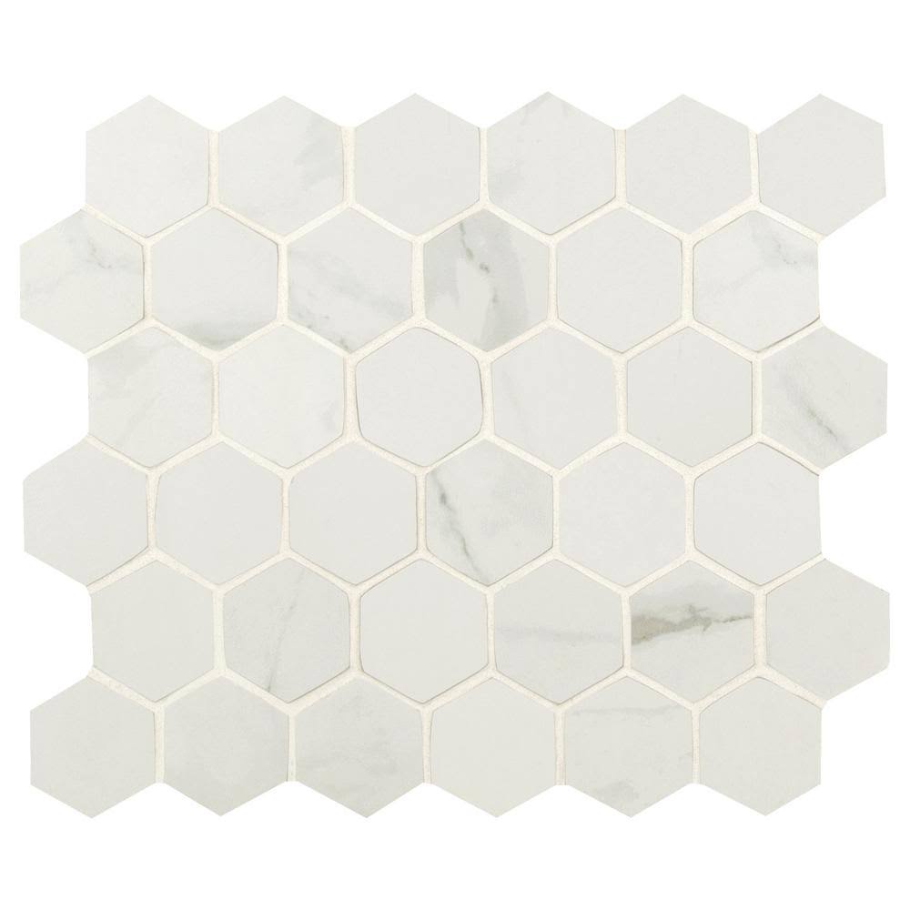 Carrara White Hexagon 12 in. x 12 in. x 10 mm Matte Porcelain Mosaic Tile R9480