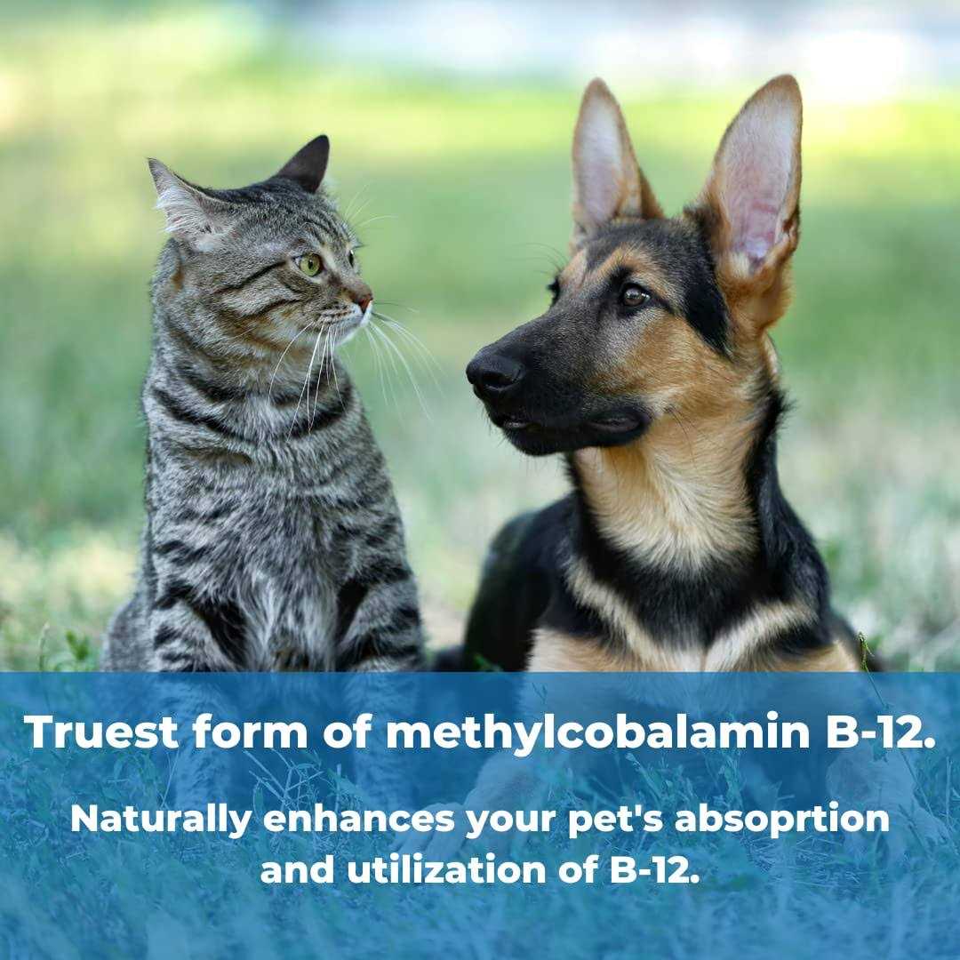 Pet Factor B-12 I90120