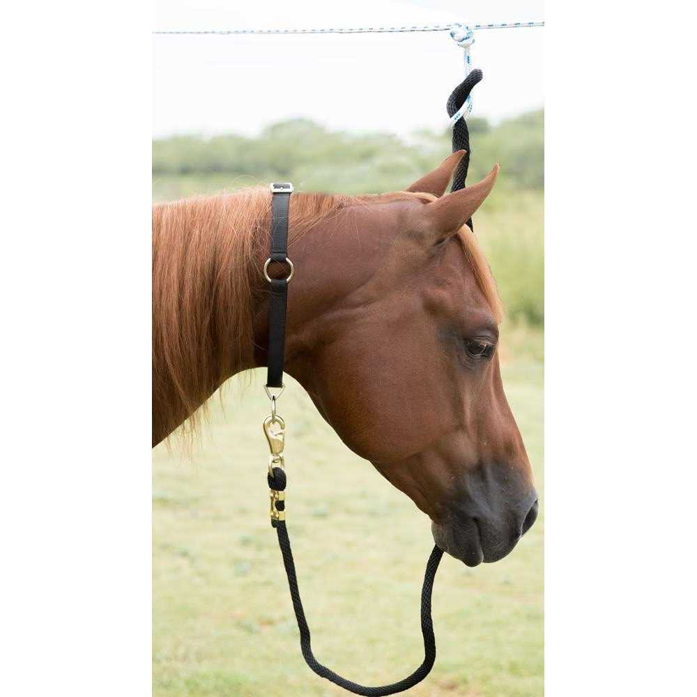 Pet Neck Collar F9261