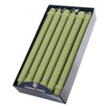 Unscented Taper Candle Willow Green L978
