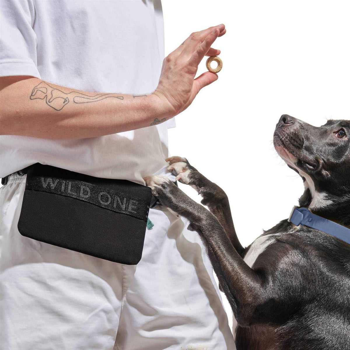 Cotton Dog Treat Pouch U363125