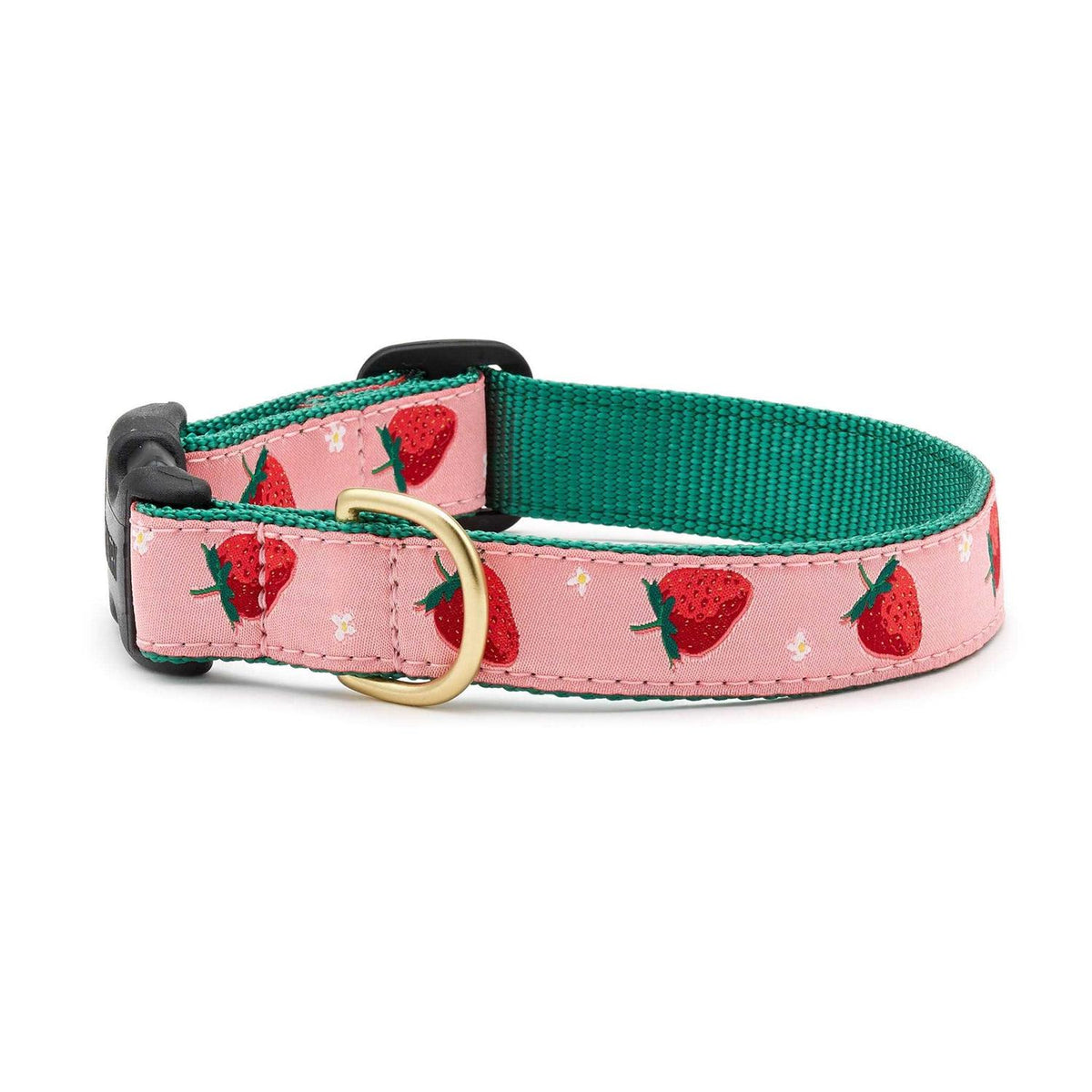 Strawberry Fields Dog Collar A46467