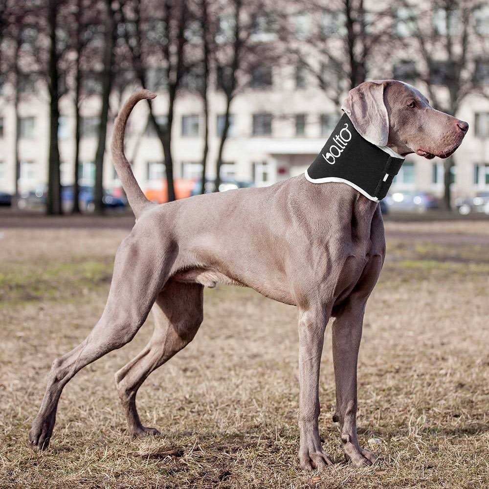 Dog Cone Alternative E-Collar O15780