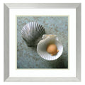 Silver Art Scallops D6335