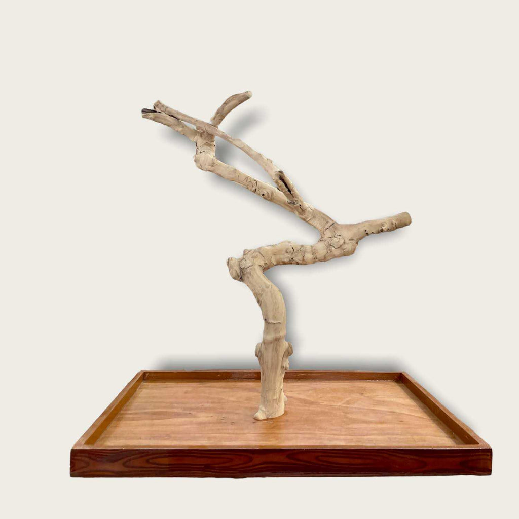 Java Wood Table Top Play Stand Q65125