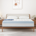 Queen 14 Inch Gel Memory Foam Innerspring Mattress S731