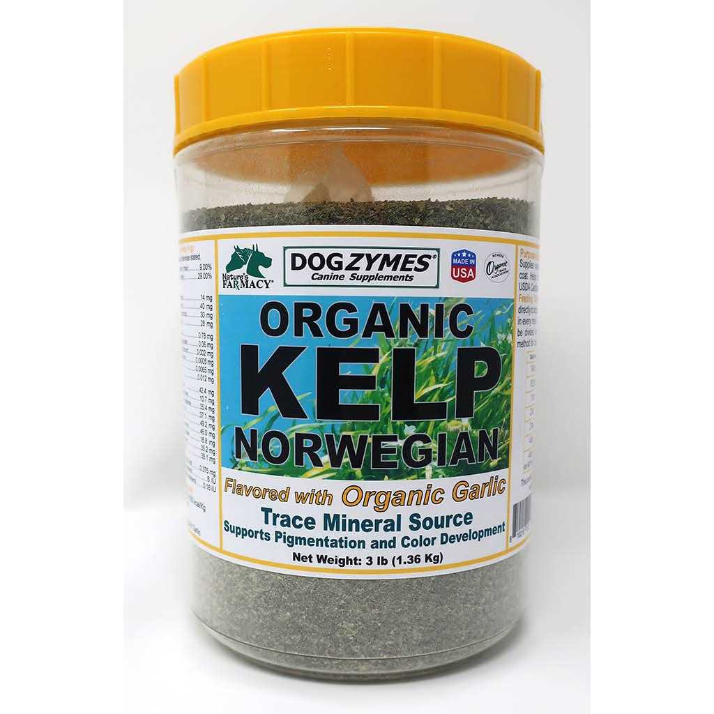 Organic Norwegian Kelp with Organic Garlic F4592