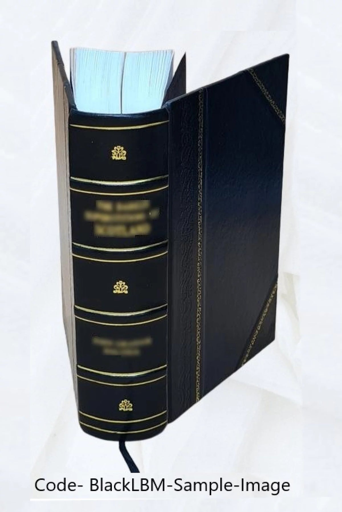 1909 Leather Bound Radioactivity and Electronics Yearbook W356686
