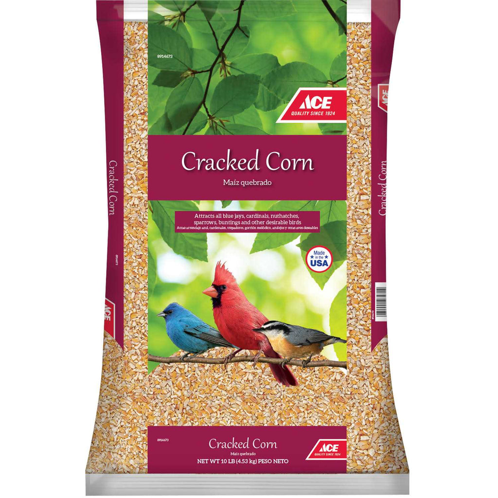 Corn U705956