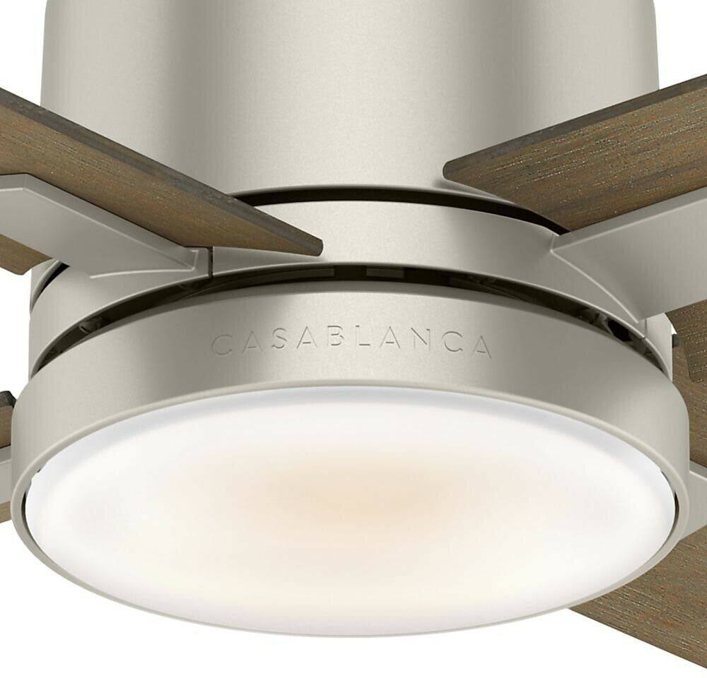 Ceiling Fan P101467