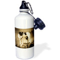 21 oz Sports Water Bottle Z96006