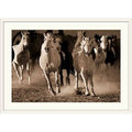 White Frame Photographic Print N541