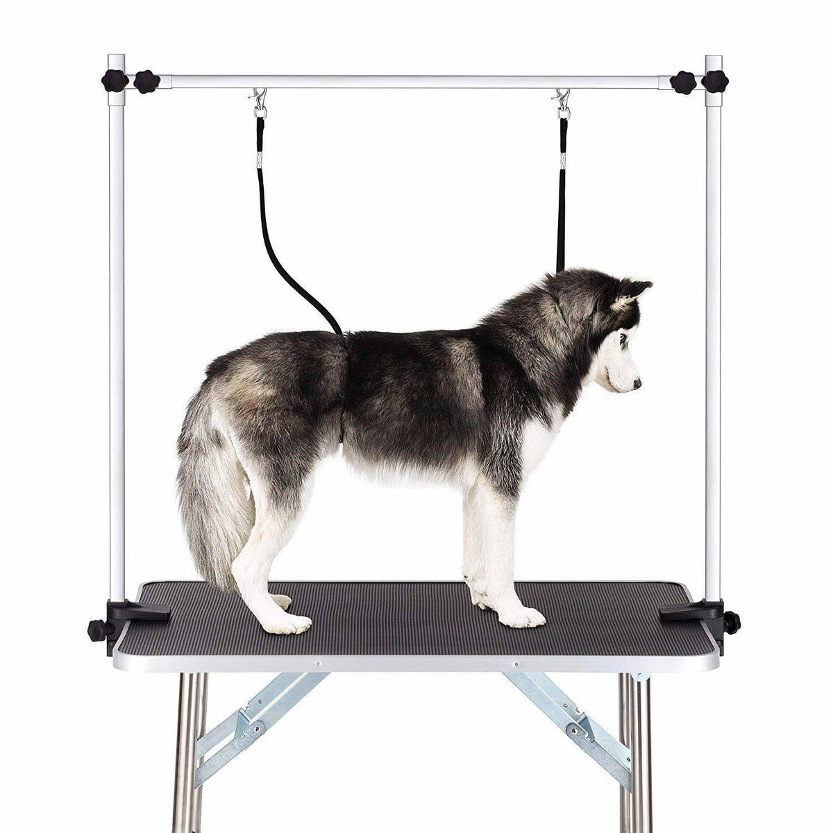 Adjustable Heavy Duty Dog Grooming Table with Arm, Noose, Mesh Tray L3610