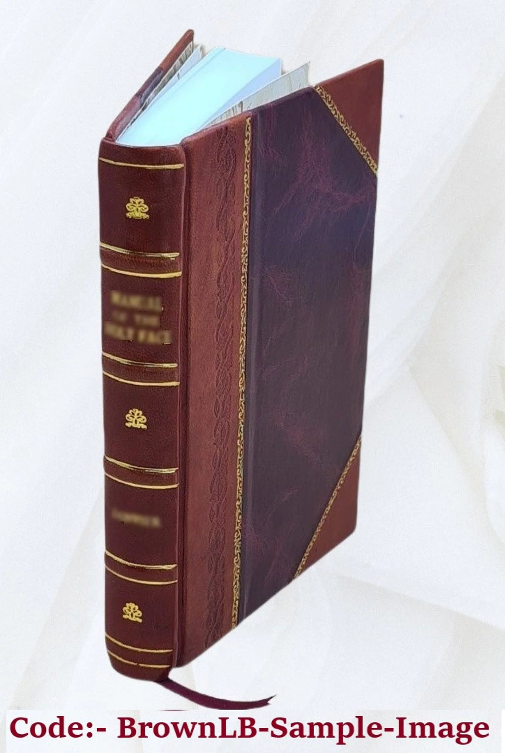 Poultry Processing and Marketing Leather Bound D5815