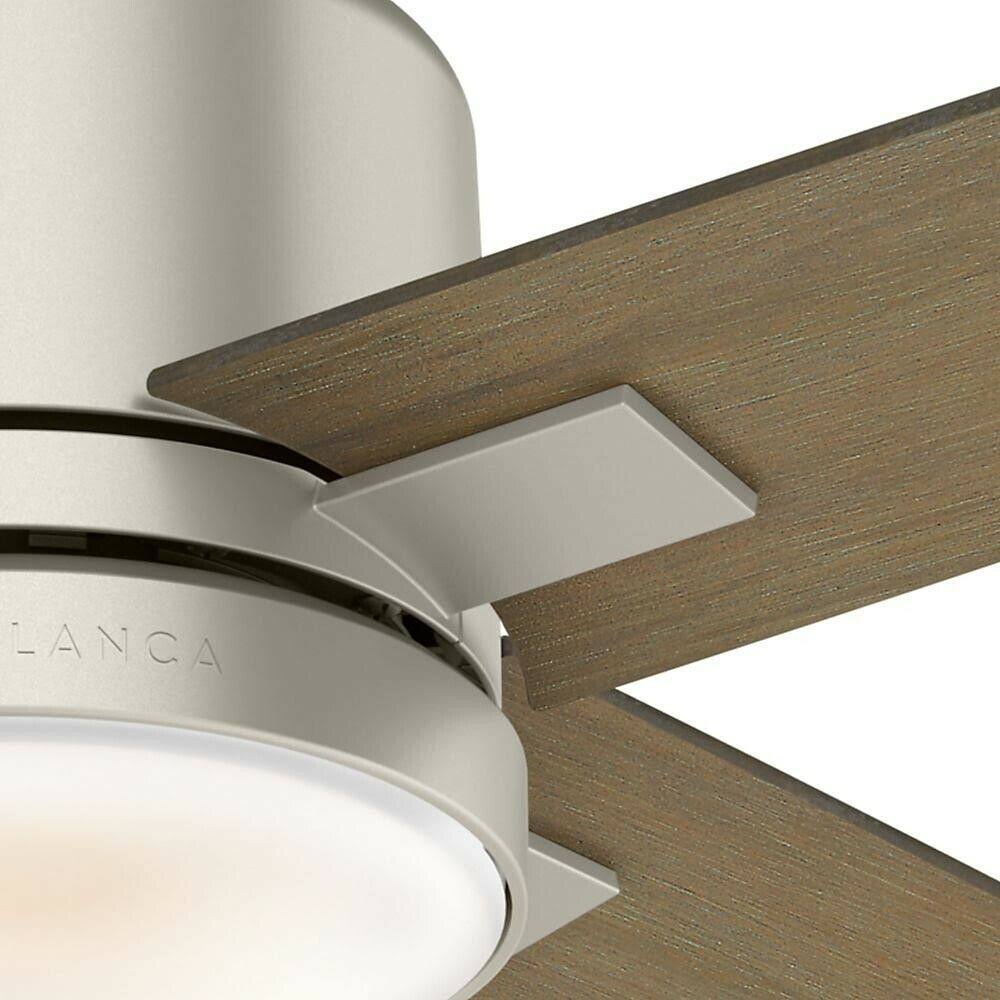 Ceiling Fan P101467