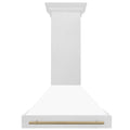 36 Inch Stainless Steel Range Hood with White Matte Shell H255