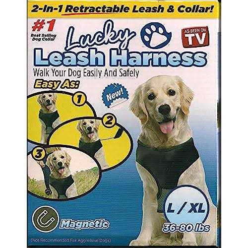 Magnetic Harness & Retractable Leash R349227