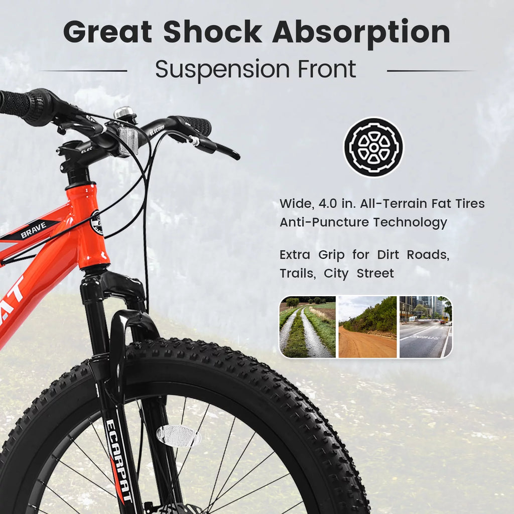 24 Inch Fat Tire Bike 7 Speeds Dual Disc Brake High-Carbon Steel Frame W86094