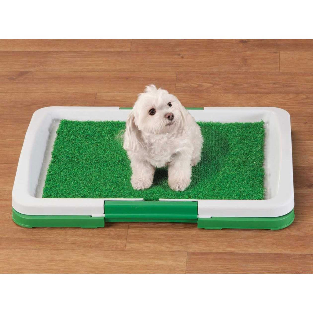 Dog Potty Patch W391192