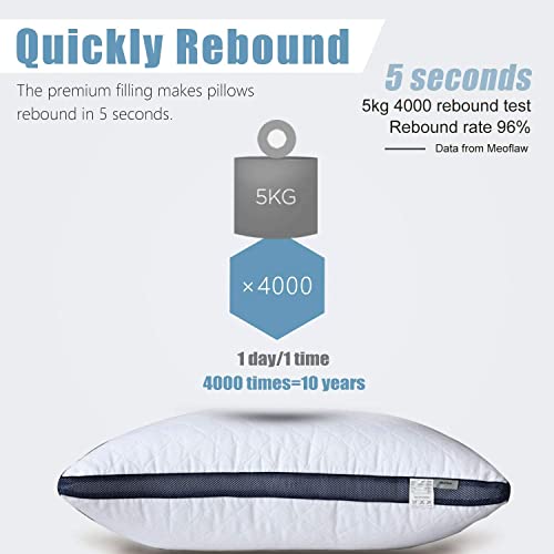 King Size Bed Pillows Set of 2 F886