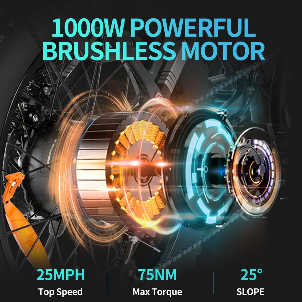 20 Fat Tire 1000W Electric Bike with 48V/20Ah Battery V535