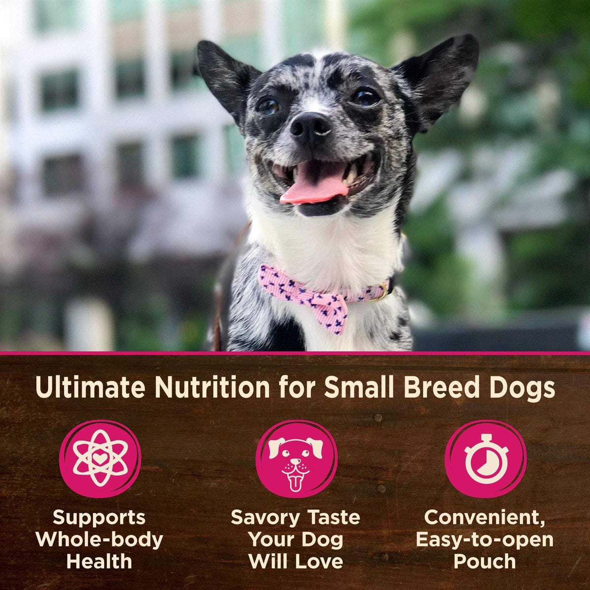 Grain Free Small Breed Wet Dog Food A211782