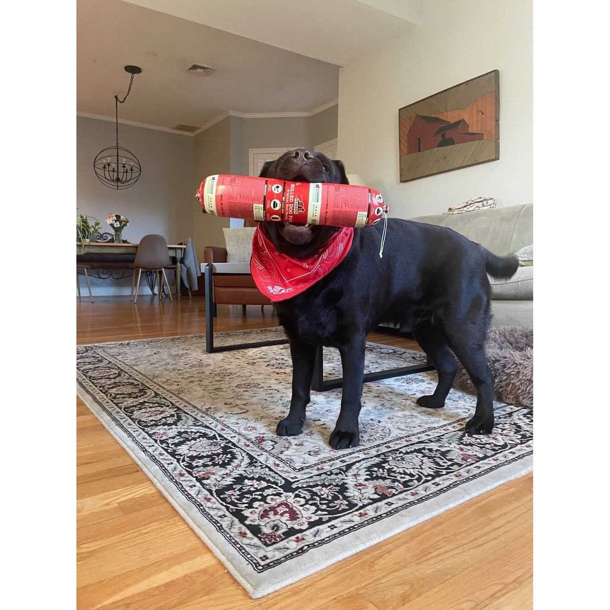 Dog Food Roll Beef R809685
