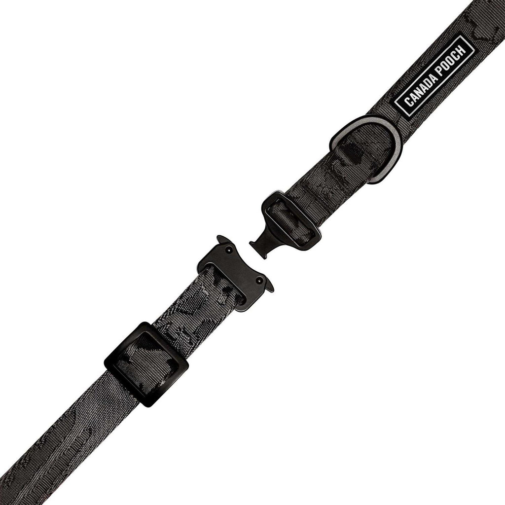 Utility Dog Collar E2121