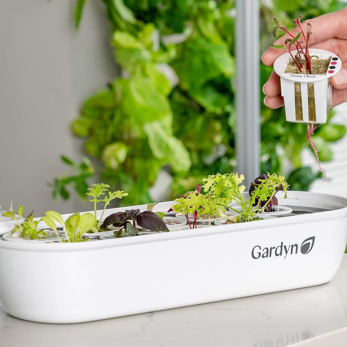 Indoor Garden Seed Starter Tray for Hydroponic Growing Systems O27503