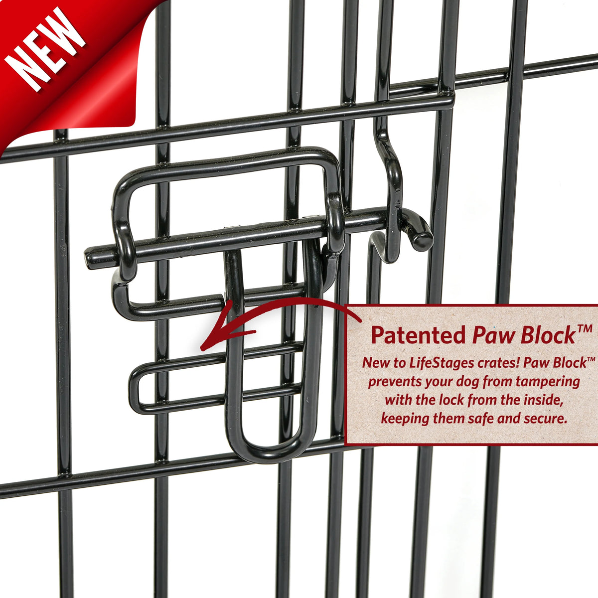 Medium Double Door Folding Metal Dog Crate with Divider Panel Z159528