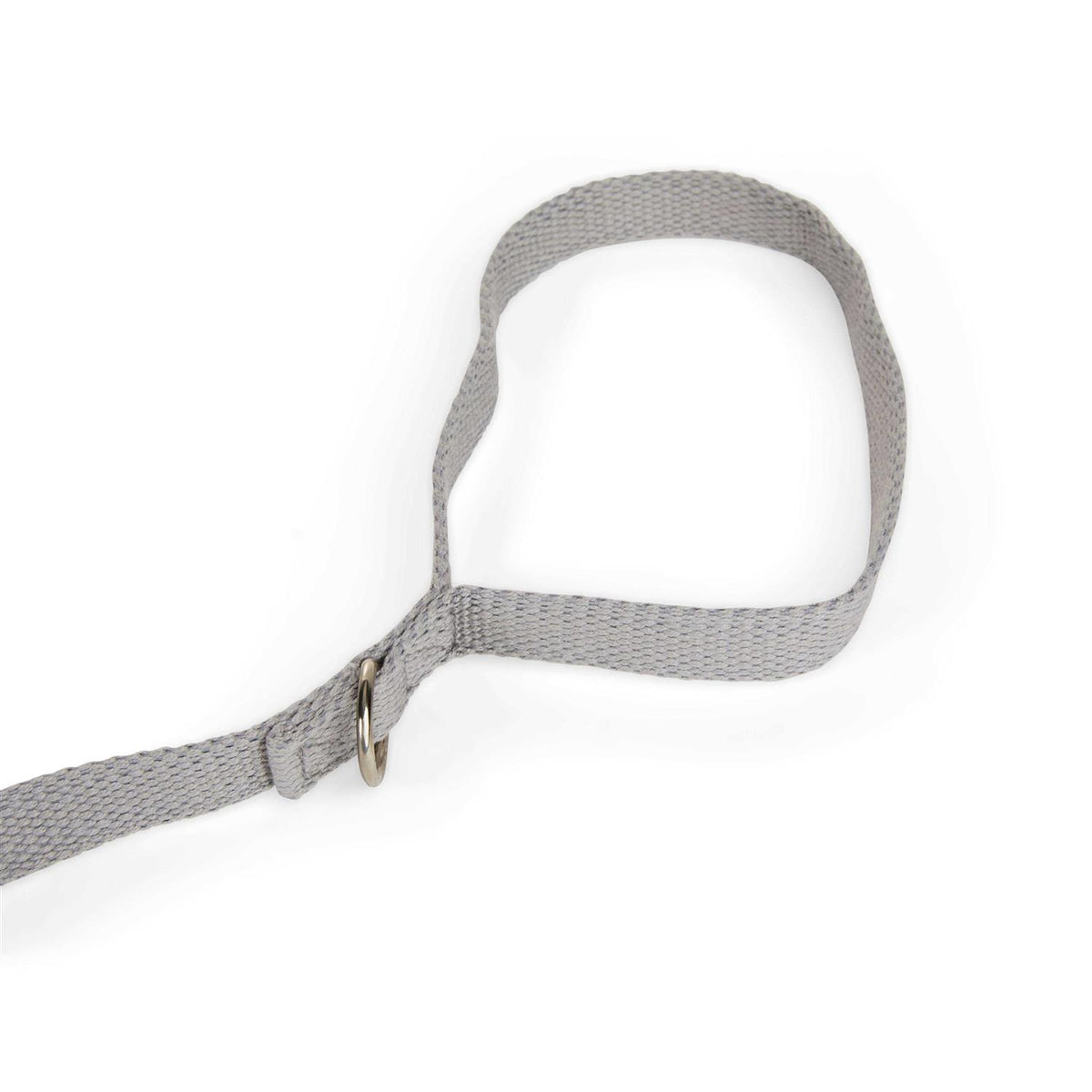 Adjustable Recall Training Dog Lead D69625