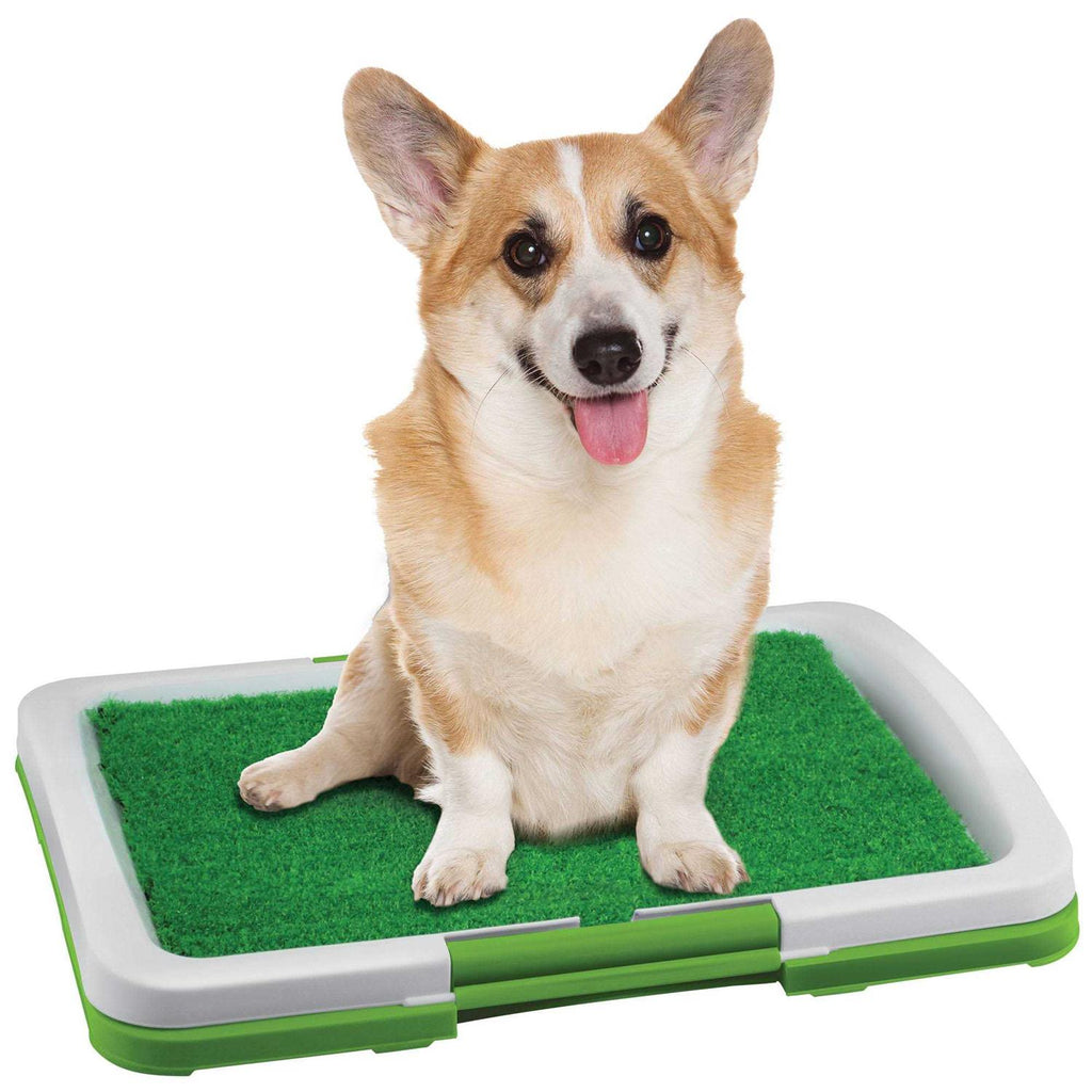 Dog Potty Patch W391192