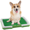 Dog Potty Patch W391192