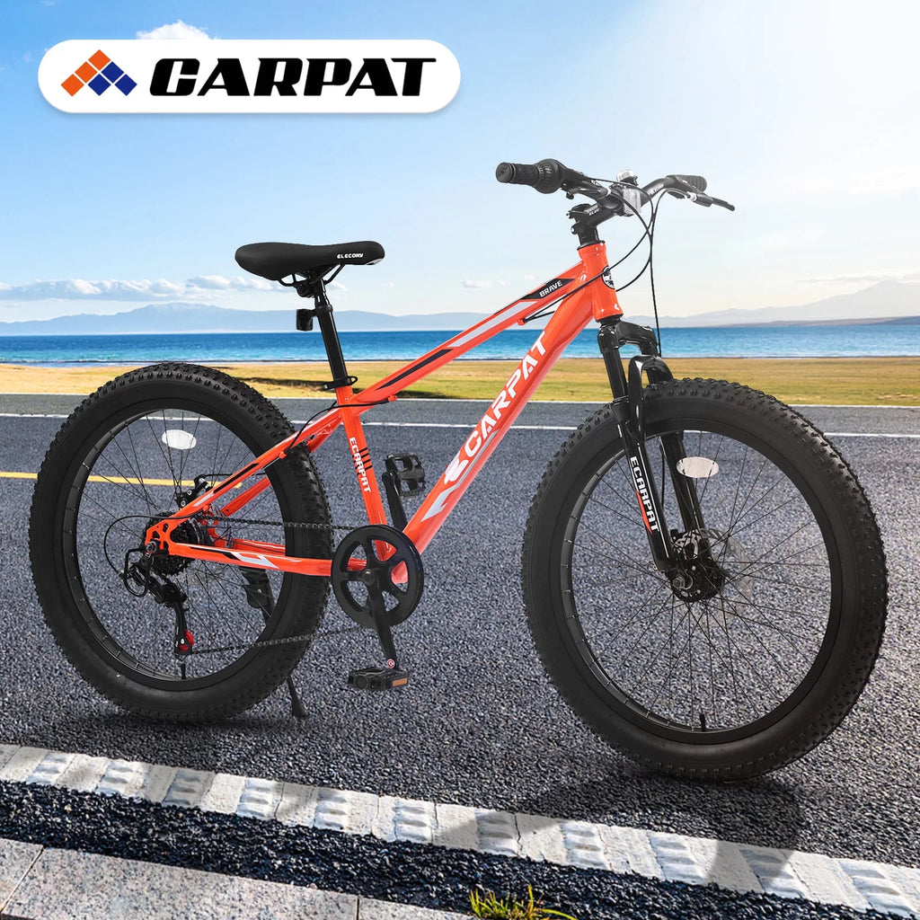 24 Inch Fat Tire Bike 7 Speeds Dual Disc Brake High-Carbon Steel Frame W86094