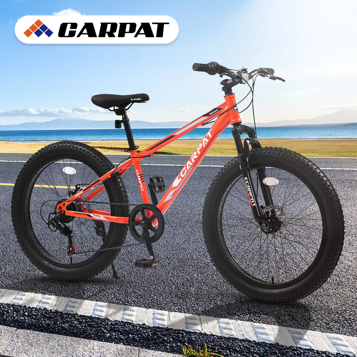 24 Inch Fat Tire Bike 7 Speeds Dual Disc Brake High-Carbon Steel Frame W86094
