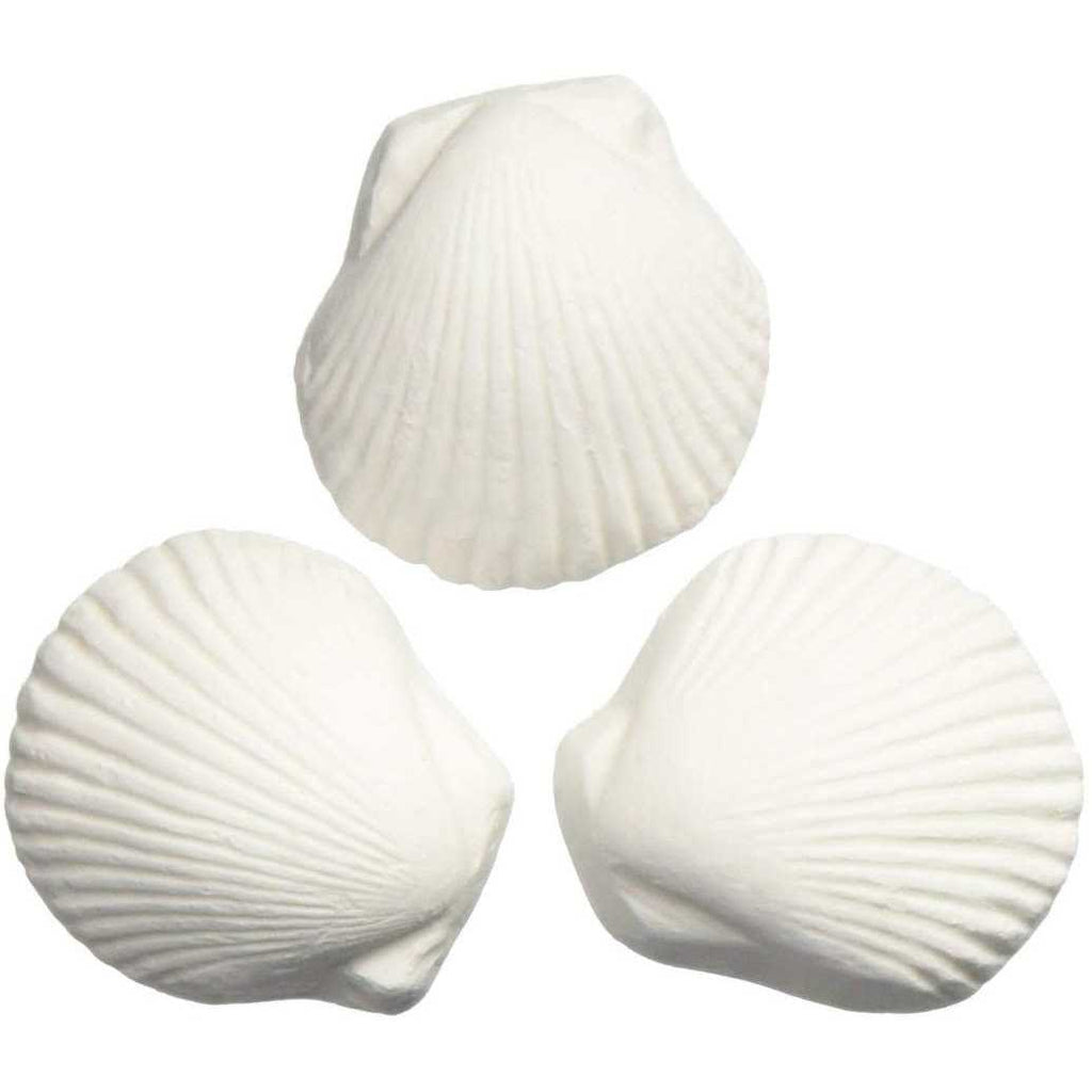 Wonder Shell T25643