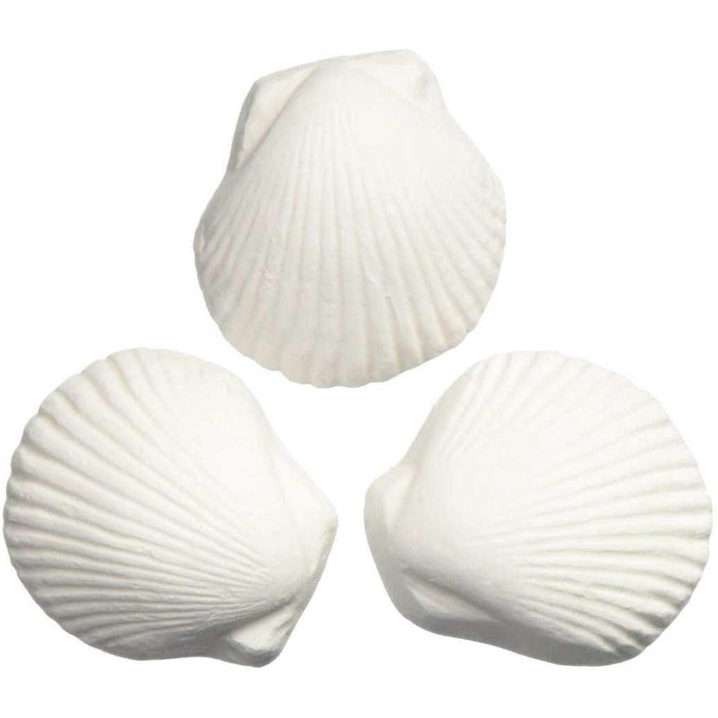 Wonder Shell T25643