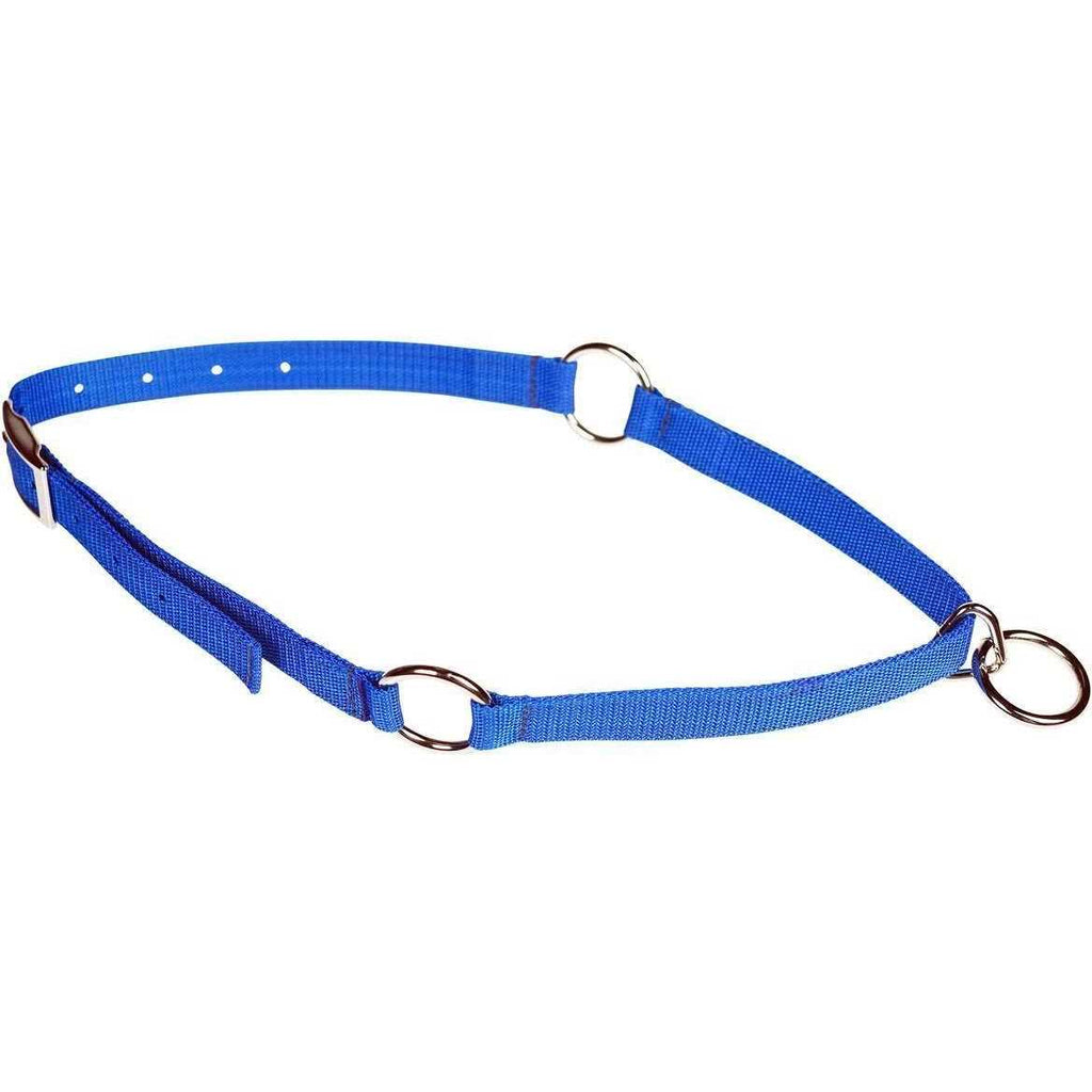 Pet Neck Collar F9261