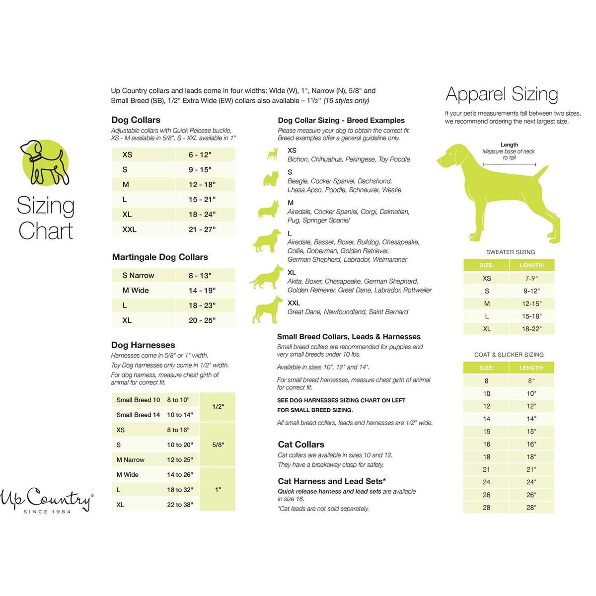 Strawberry Fields Dog Collar A46467
